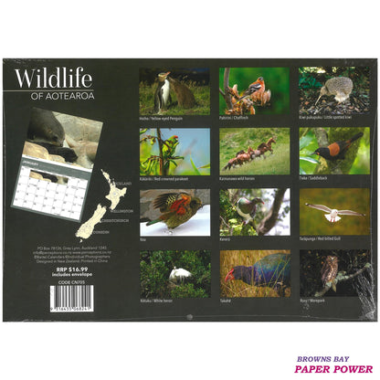 2027 Wall Calendar - Wildlife Of Aotearoa