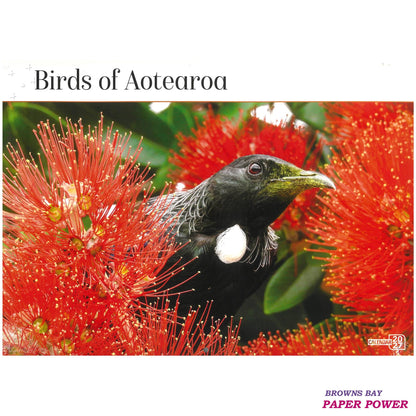 2027 Wall Calendar - Birds Of Aotearoa