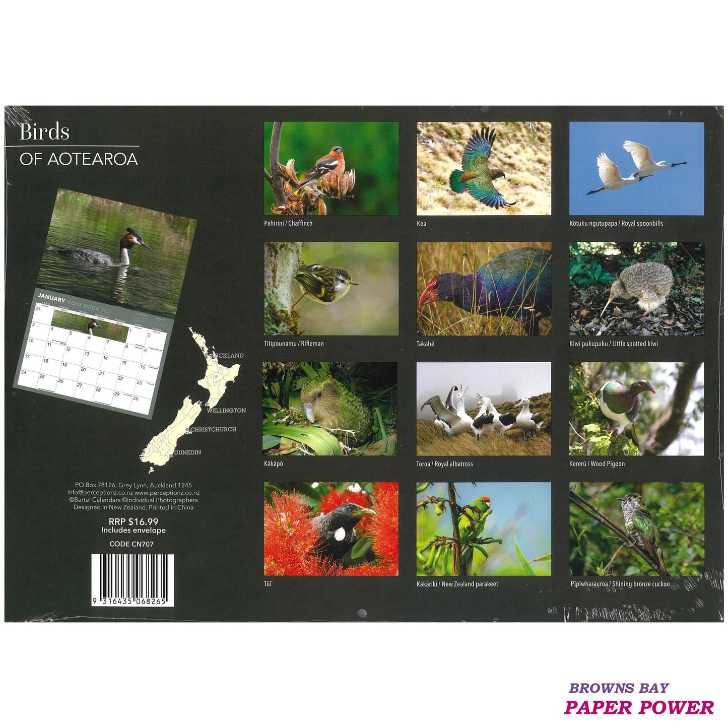 2027 Wall Calendar - Birds Of Aotearoa