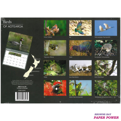 2027 Wall Calendar - Birds Of Aotearoa