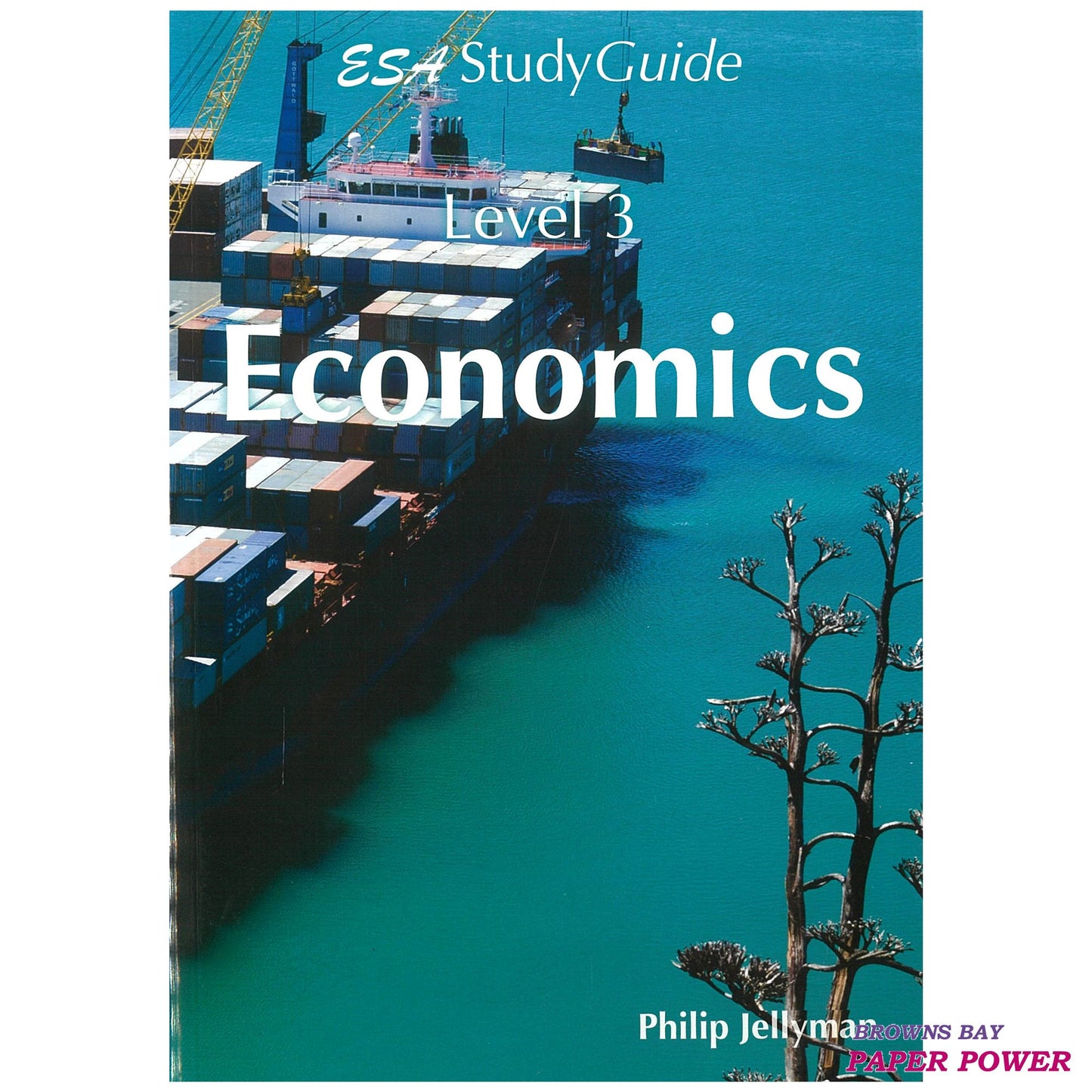LearnWell ESA Study Guide Level 3 - Economics