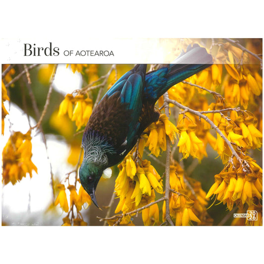 2026 Wall Calendar - Birds Of Aotearoa