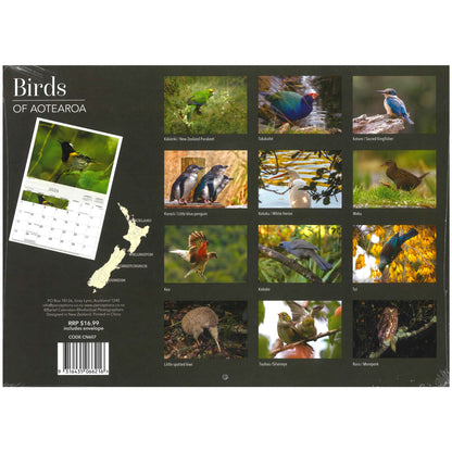 2026 Wall Calendar - Birds Of Aotearoa