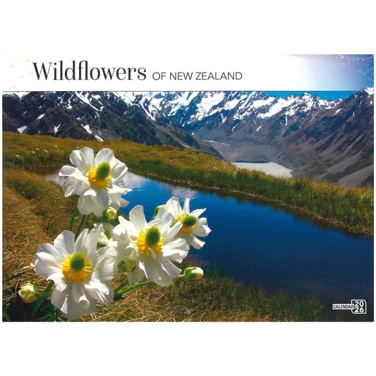 2026 Wall Calendar - Wildflowers Of New Zealand