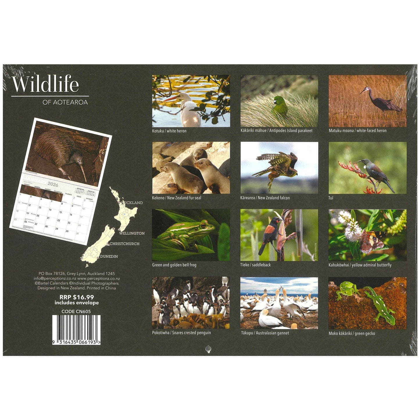 2026 Wall Calendar - Wildlife Of Aotearoa