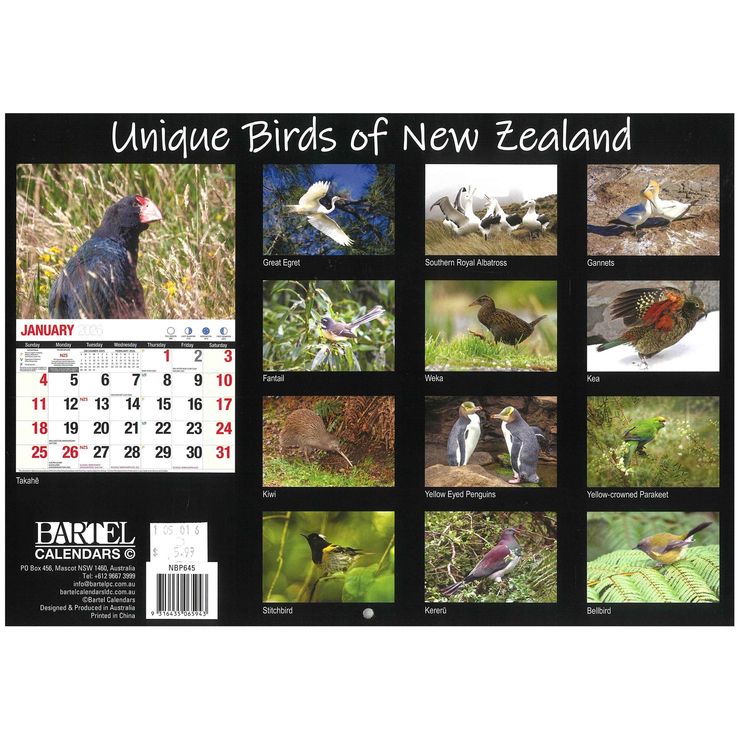 2026 Wall Calendar - Unique Birds Of New Zealand