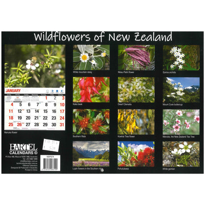 2026 Wall Calendar - Wildflowers Of New Zealand