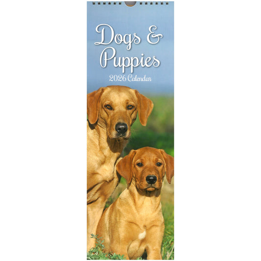 2026 Wall Slim Calendar Dogs & Puppies