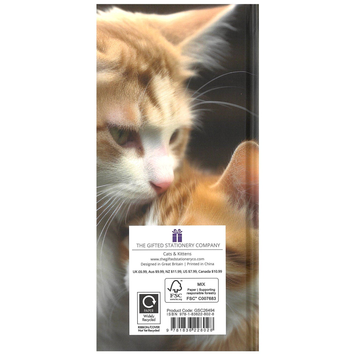 2026 Pocket Diary Week to View - Cats & Kittens
