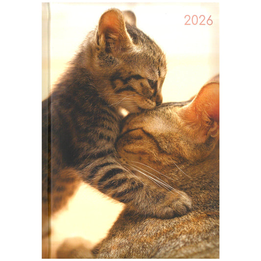 2026 A5 Diary Week to View - Cats & Kittens