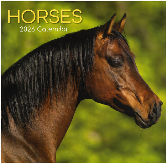 2026 Wall Calendar - Horses