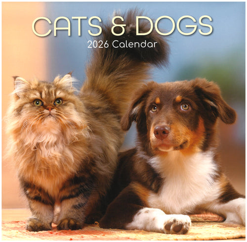 2026 Wall Calendar - Cats & Dogs