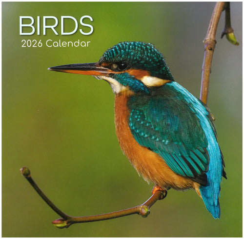 2026 Wall Calendar - Birds