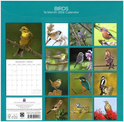2026 Wall Calendar - Birds