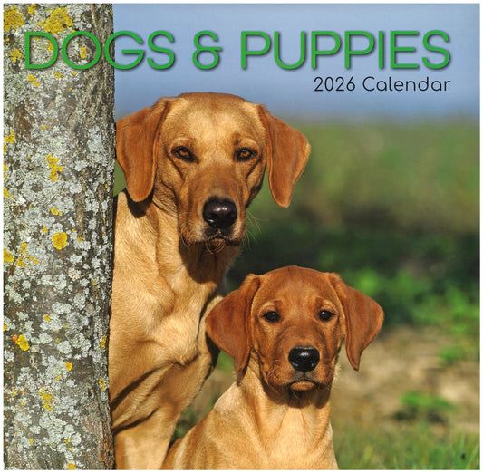 2026 Wall Calendar - Dogs & Puppies