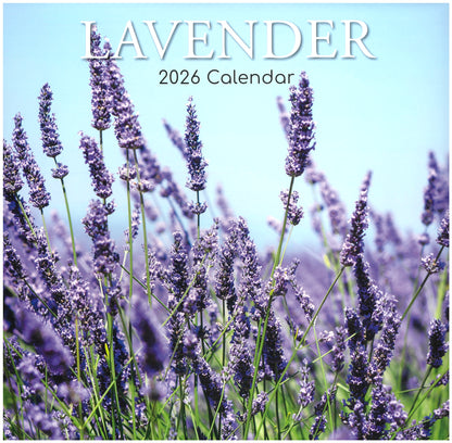 2026 Wall Calendar - Lavender