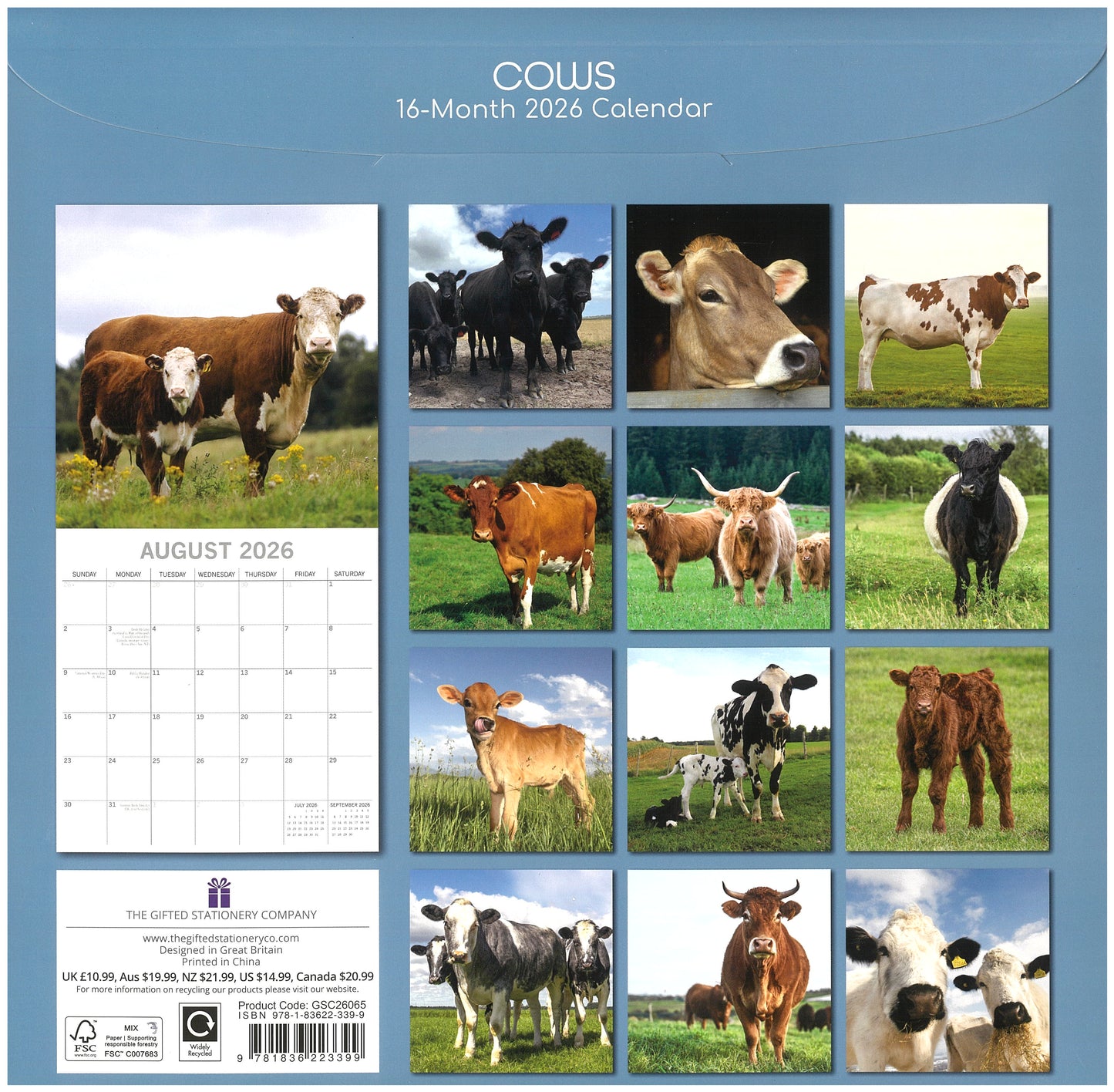 2026 Wall Calendar - Cows