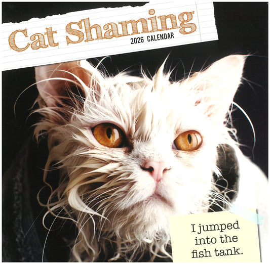 2026 Wall Calendar - Cat Shaming