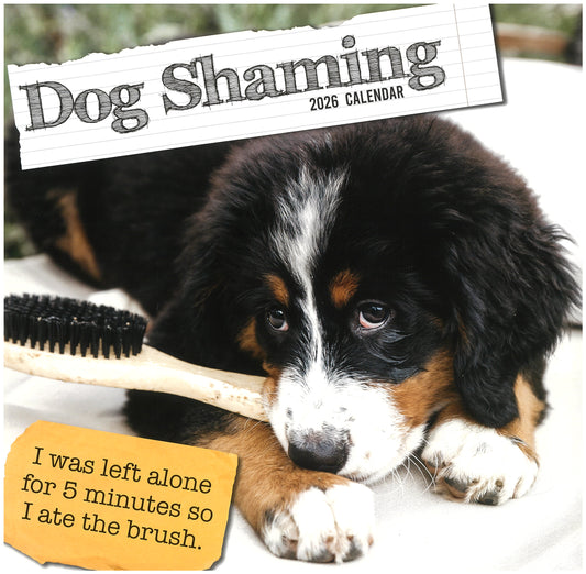 2026 Wall Calendar - Dog Shaming