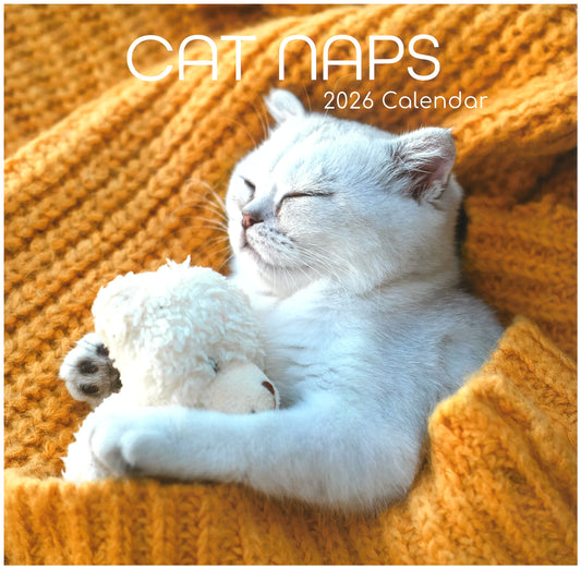2026 Wall Calendar - Cat Naps