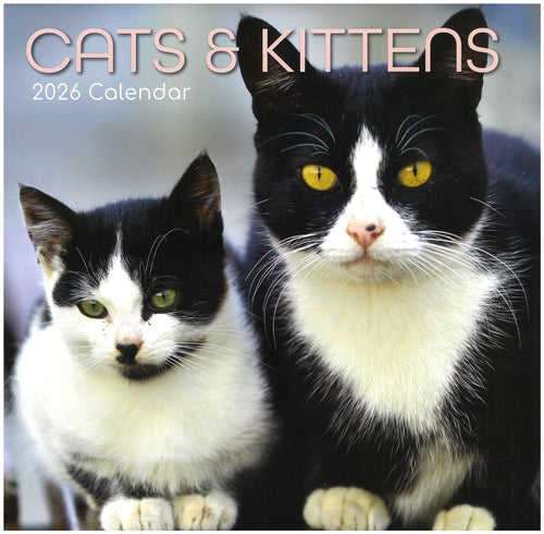2026 Wall Calendar - Cats & Kittens