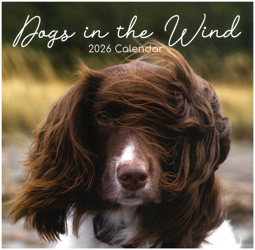 2026 Wall Calendar - Dogs In The Wind