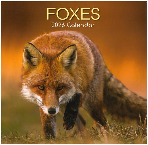 2026 Wall Calendar - Foxes