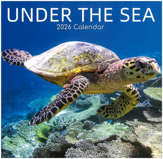 2026 Wall Calendar - Under The Sea