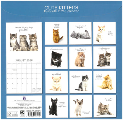 2026 Wall Calendar - Cute Kittens
