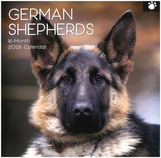 2026 Wall Calendar - German Shepherds