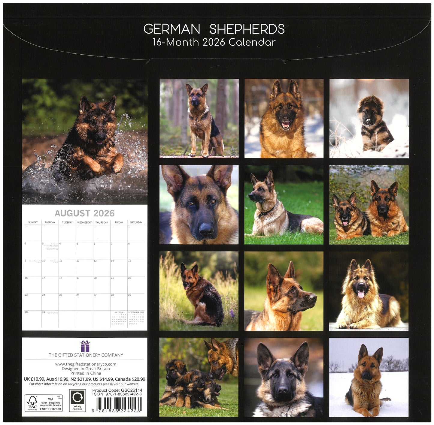 2026 Wall Calendar - German Shepherds