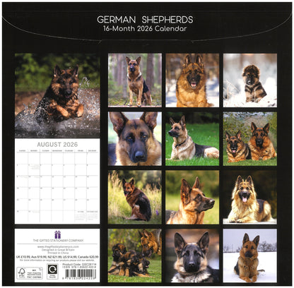2026 Wall Calendar - German Shepherds