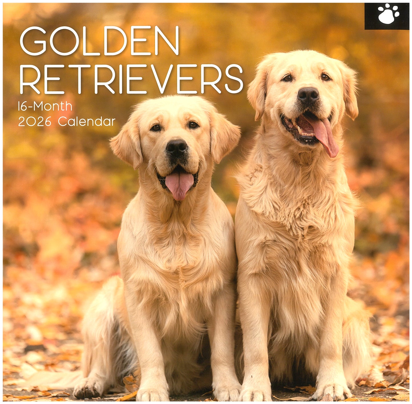 2026 Wall Calendar - Golden Retrievers