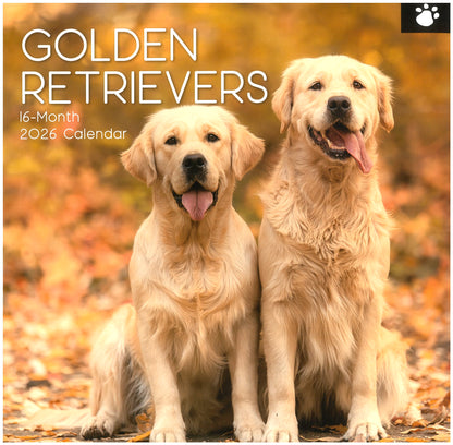 2026 Wall Calendar - Golden Retrievers