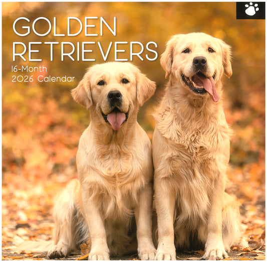 2026 Wall Calendar - Golden Retrievers