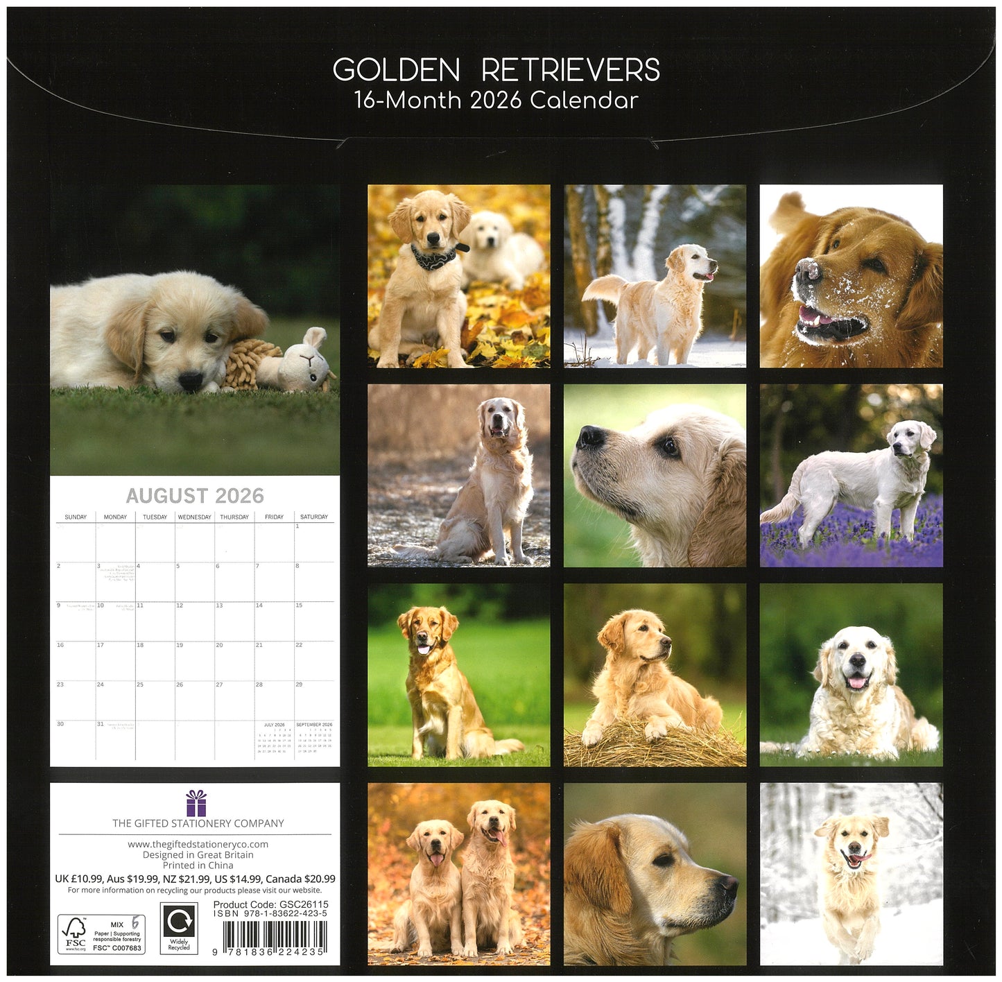 2026 Wall Calendar - Golden Retrievers