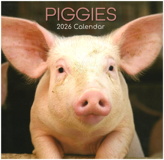 2026 Wall Calendar - Piggies