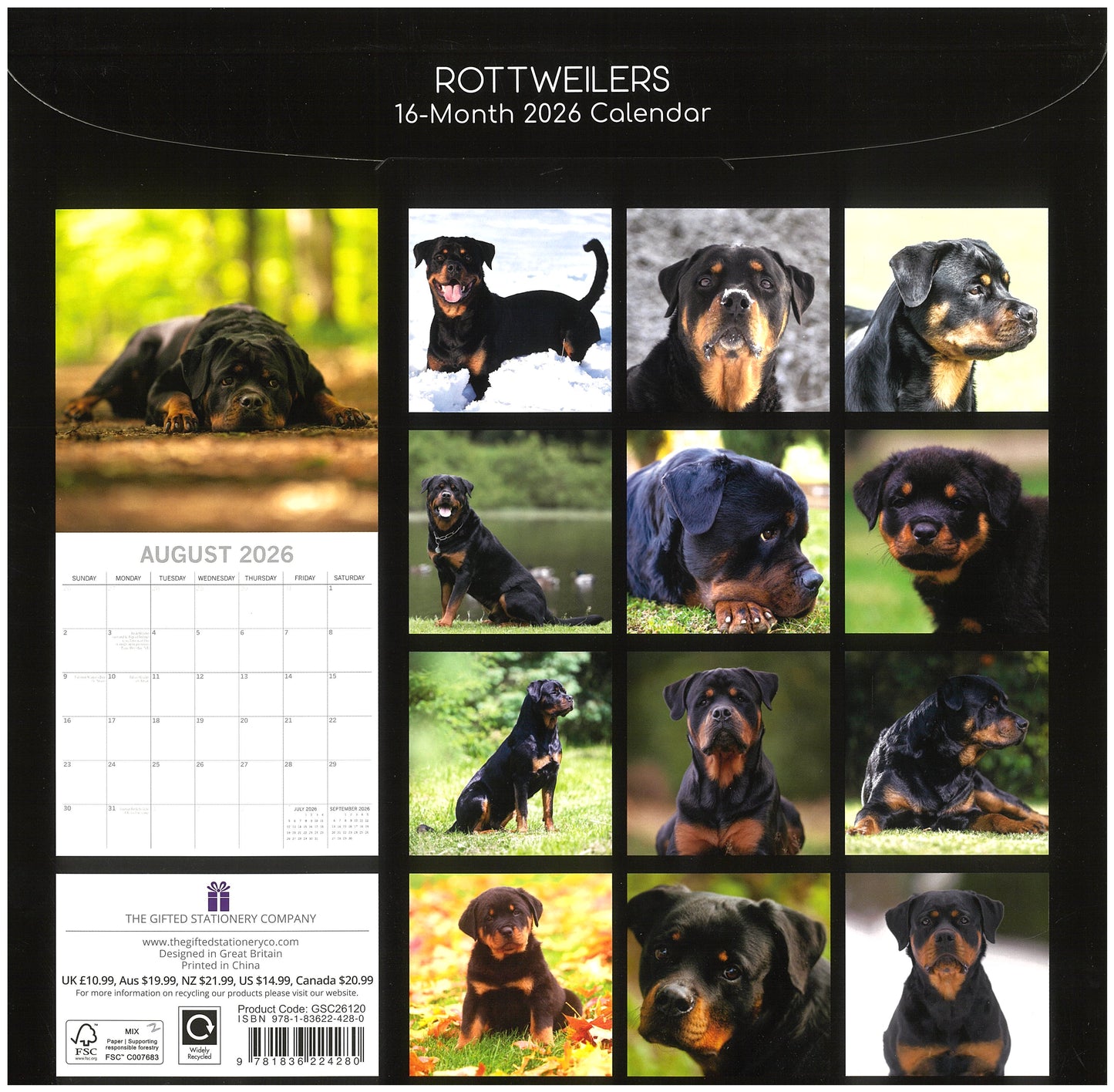 2026 Wall Calendar - Rottweilers