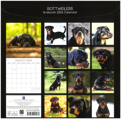 2026 Wall Calendar - Rottweilers