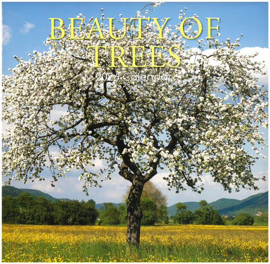 2026 Wall Calendar - Beautiful Of Trees