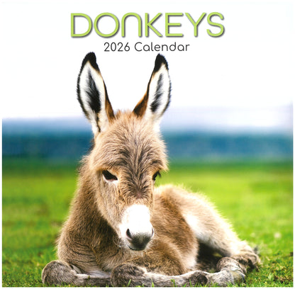 2026 Wall Calendar - Donkeys
