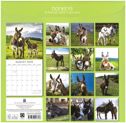 2026 Wall Calendar - Donkeys