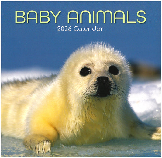 2026 Wall Calendar - Baby Animals