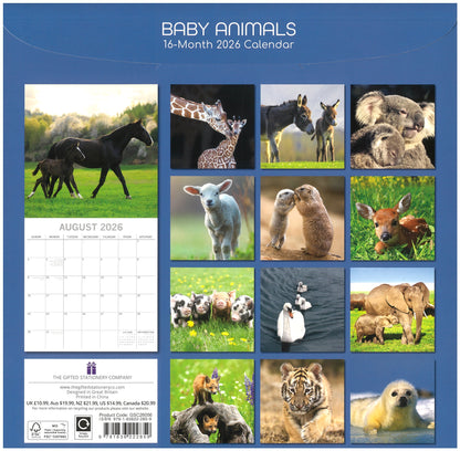 2026 Wall Calendar - Baby Animals