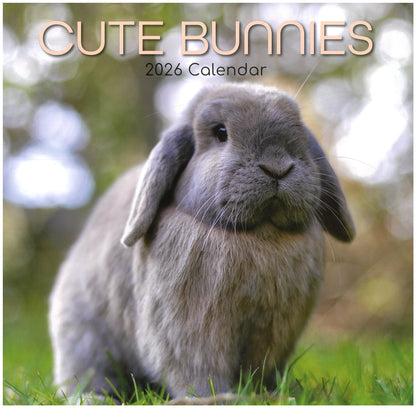 2026 Wall Calendar - Cute Bunnies
