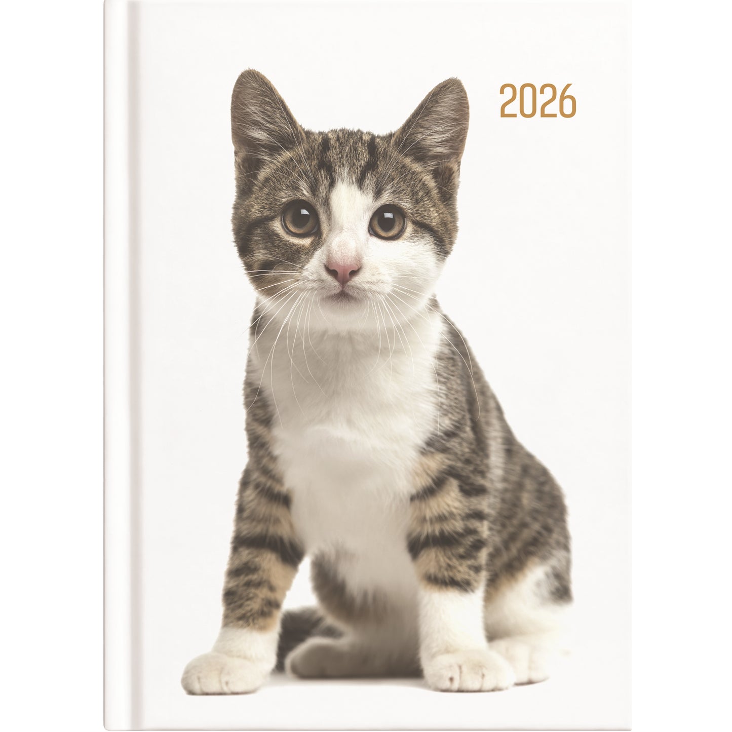 Collins A53 Diary - Cats & Dogs