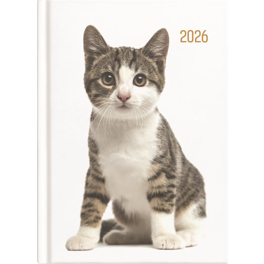 Collins A53 Diary - Cats & Dogs