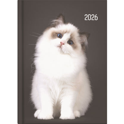 Collins A53 Diary - Cats & Dogs