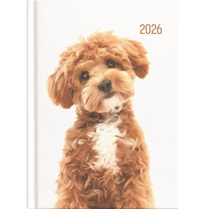 Collins A53 Diary - Cats & Dogs
