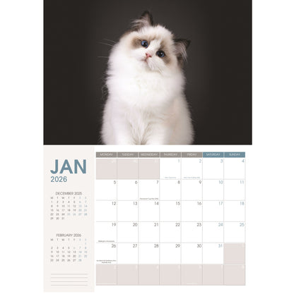 2026 Wall Calendar Cats & Dogs